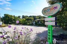 파주 산머루마을 (2026) - 경기도 파주시 가볼만한곳 - 관광지랭킹