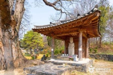 증평문화원 (2026) - 충청북도 증평군 가볼만한곳 - 관광지랭킹
