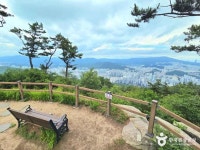 금강공원 (2026) - 부산광역시 동래구 가볼만한곳 - 관광지랭킹