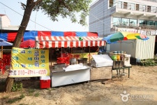 장경리해수욕장 - 캠프위크