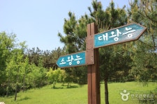 Iksan Ssangneung (익산 쌍릉) - Korea Tour Ranking