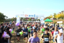유성국화마라톤 대회 - 대전광역시 유성구 - 가볼만한곳 - 관광지랭킹