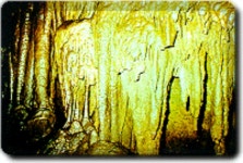 석곡 코스모스음악회 2019 - 전라남도 곡성군 - 가볼만한곳 - 관광지랭킹