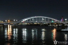 Busandaegyo Bridge (부산대교) - 관광지랭킹
