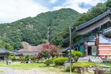 반야사(영동) (2026) - 충청북도 영동군 가볼만한곳 - 관광지랭킹