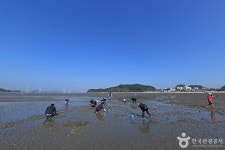 선재도(선재도 어촌체험마을) - 인천광역시 옹진군 - 가볼만한곳 - 관광지랭킹