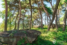 월야88민물장어 - 전라남도 함평군 - 가볼만한곳 - 관광지랭킹