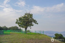 죽주산성 (2026) - 경기도 안성시 가볼만한곳 - 관광지랭킹