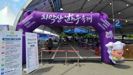 화개장터 벚꽃축제 최신 축제 공연 행사 정보와 주변 관광 명소 및 근처 맛집 여행 정보