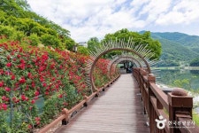 단양장 (1, 6일) / 단양구경시장 (2026) - 충청북도 단양군 가볼만한곳 - 관광지랭킹