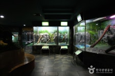 Busan Marine Natural History Museum (부산해양자연사박물관) - 관광지랭킹