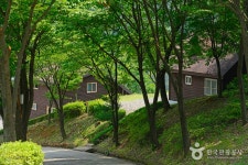 Gyemyeongsan Recreational Forest (계명산자연휴양림) - 관광지랭킹