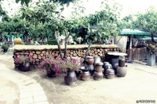 덕화배꽃마을 - 경기도 남양주시 - 가볼만한곳 - 관광지랭킹