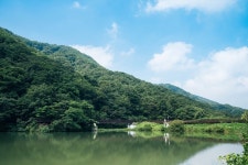 National Center for Forest Activities, Chilgok (국립칠곡숲체원) - Sightseeing - Korea travel and tourism information
