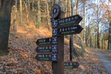 정림사지와 사비길 - 충청남도 부여군 - 가볼만한곳 - 관광지랭킹