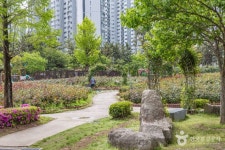 장미원 관광 정보와 주변 관광 명소 및 근처 맛집 여행 정보