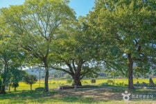 부용산(장흥) - 전라남도 장흥군 - 가볼만한곳 - 관광지랭킹