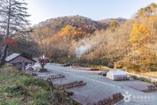 성수산 왕의숲 국민여가캠핑장 레저스포츠 정보와 주변 관광 명소 및 근처 맛집 여행 정보