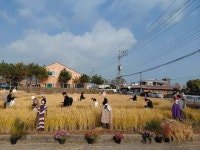 의좋은 형제 축제 (2026) - 충청남도 예산군 가볼만한곳 - 관광지랭킹
