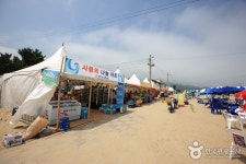 옥계해변 - 캠프위크