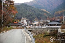 춘양목송이마을 - 경상북도 봉화군 - 가볼만한곳 - 관광지랭킹