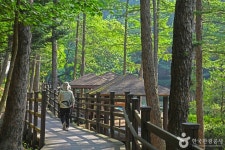봉학골산림욕장 - 충청북도 음성군 - 가볼만한곳 - 관광지랭킹