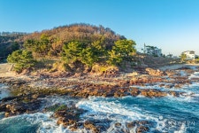 차유돔바위 (2026) - 경상북도 영덕군 가볼만한곳 - 관광지랭킹
