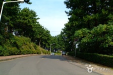 Sarabong Park (사라봉공원) - 관광지랭킹