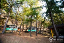 Seolmaejae Recreational Forest (설매재자연휴양림) - 관광지랭킹