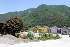 금당산 - 강원특별자치도 평창군 - 가볼만한곳 - 관광지랭킹