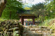 [하동 박경리 토지길 2코스] 십리벚꽃길~국사암 (2026) - 경상남도 하동군 가볼만한곳 - 관광지랭킹