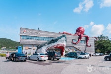 네이버 검색 결과 사진 2