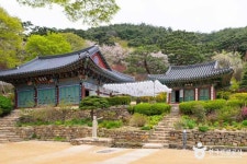 강화루지(강화씨사이드리조트) (2026) - 인천광역시 강화군 가볼만한곳 - 관광지랭킹
