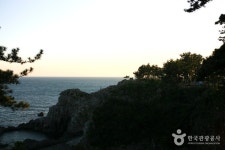 [제주올레 7코스] 제주올레 여행자센터 - 월평 올레 - 제주특별자치도 서귀포시 - 가볼만한곳 - 관광지랭킹
