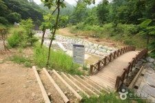 Jwagusan Recreational Forest (좌구산 자연휴양림) - Korea Tour Ranking