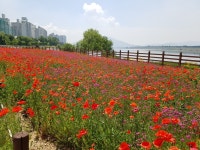 남양주한강공원(삼패지구) - 경기도 남양주시 - 가볼만한곳 - 관광지랭킹