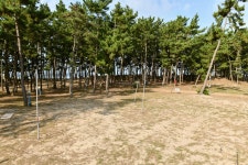 사계절랜드파크마검포텐트오토캠핑야영장 - 충청남도 태안군 - 가볼만한곳 - 관광지랭킹
