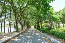 선유도공원 관광 정보와 주변 관광 명소 및 근처 맛집 여행 정보