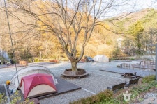 성수산 왕의숲 국민여가캠핑장 레저스포츠 정보와 주변 관광 명소 및 근처 맛집 여행 정보