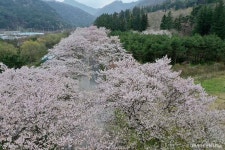 내장산국립공원 관광 정보와 주변 관광 명소 및 근처 맛집 여행 정보