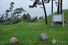 사창장 (2, 7일) - 전라남도 장성군 - 가볼만한곳 - 관광지랭킹