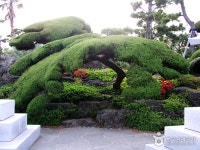 Ilchulland (일출랜드) - 관광지랭킹