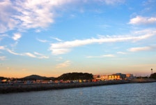 페스티벌31 2020 - 경기도 화성시 - 가볼만한곳 - 관광지랭킹