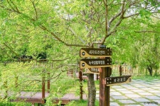 통영RCE세자트라숲 (2026) - 경상남도 통영시 가볼만한곳 - 관광지랭킹