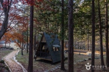 성수산 왕의숲 국민여가캠핑장 레저스포츠 정보와 주변 관광 명소 및 근처 맛집 여행 정보