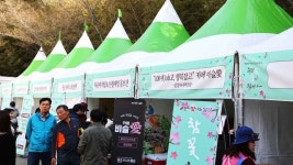비슬산 참꽃문화제 최신 축제 공연 행사 정보와 주변 관광 명소 및 근처 맛집 여행 정보