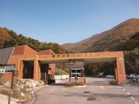 팔공산금화자연휴양림캠핑장 - 경상북도 칠곡군 - 가볼만한곳 - 관광지랭킹