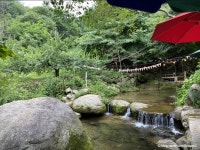 대구의 자연을 품은 팔공산에 오르다. - 경상북도 경산시 - 가볼만한곳 - 관광지랭킹