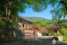 개심사(서산) (2026) - 충청남도 서산시 가볼만한곳 - 관광지랭킹