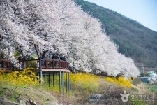 지리산휴가관광펜션 - 전라남도 구례군 - 가볼만한곳 - 관광지랭킹